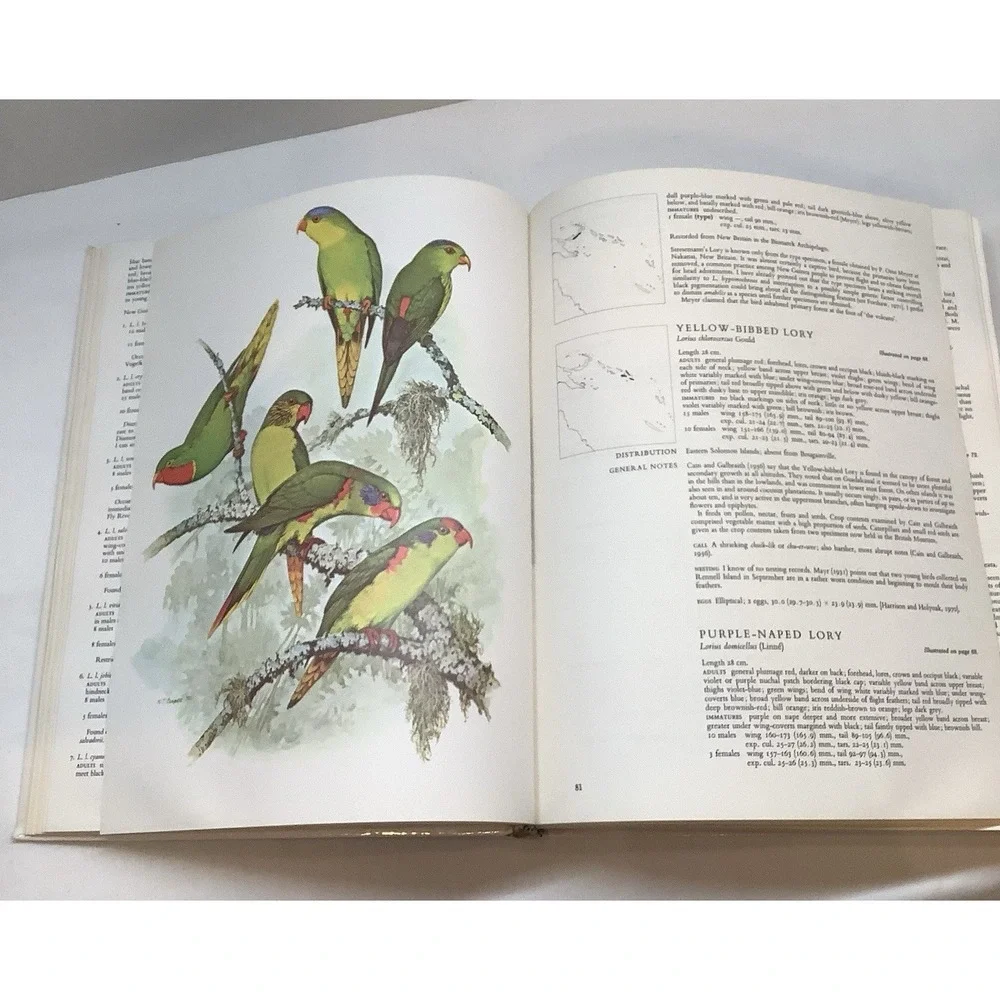 Parrots of the World by Joseph Michael Forshaw (1977, Hardcover)